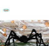 Araignée noire 150 cm