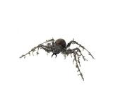 Araignée marron horrible 60x43cm