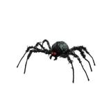 Araignée géante noire à poils 
