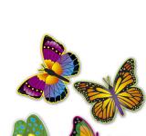 Deco carton papillons