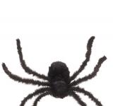 Araignée velue noire 70cm