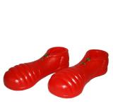 Chaussures clown adulte