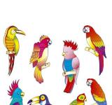 8 decos oiseaux tropicaux