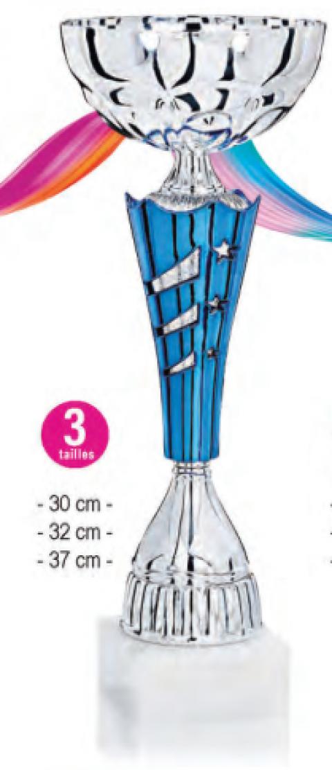 Lot de 30 coupes hauteur moyenne 33,7cm livré