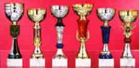 Lot de 12 coupes 9001