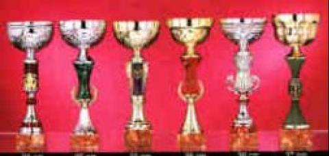 Lot de 12 coupes 9005
