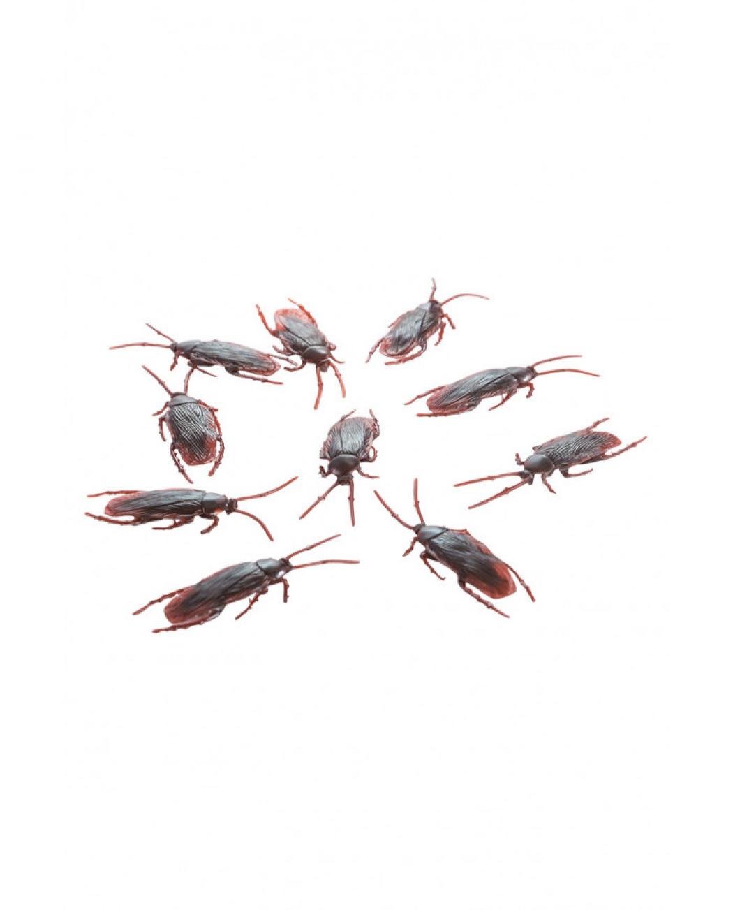 Sachet de 10 cafards réalistes 7cm