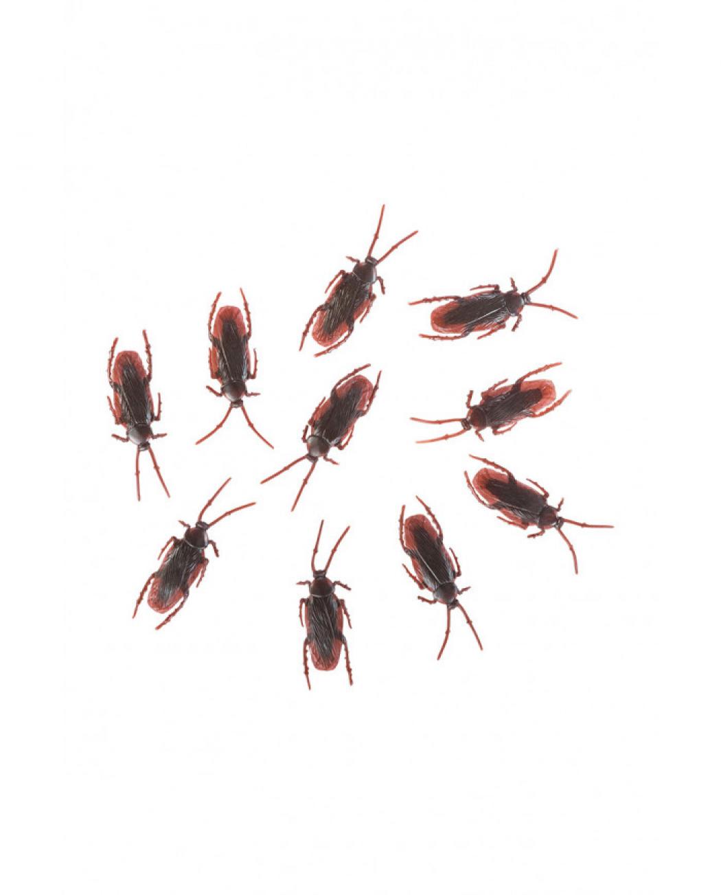 Sachet de 10 cafards réalistes 7cm
