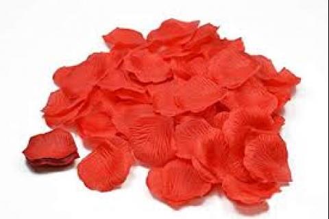 640 pétales de rose en tissu rouge