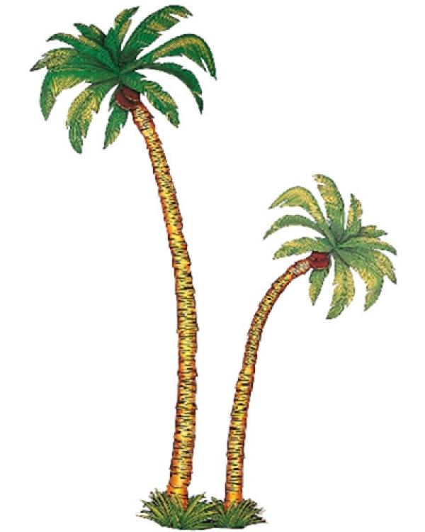 Set 2 palmiers 180/116cm
