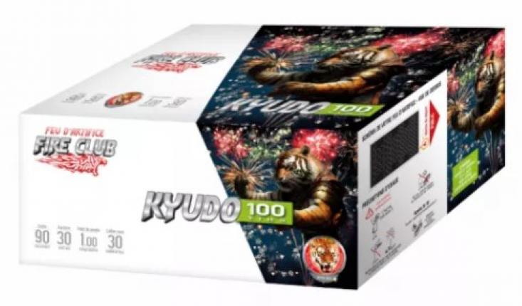 Lot de 2 feux automatiques Pyragric Kyudo 100 coups livré chez vous !