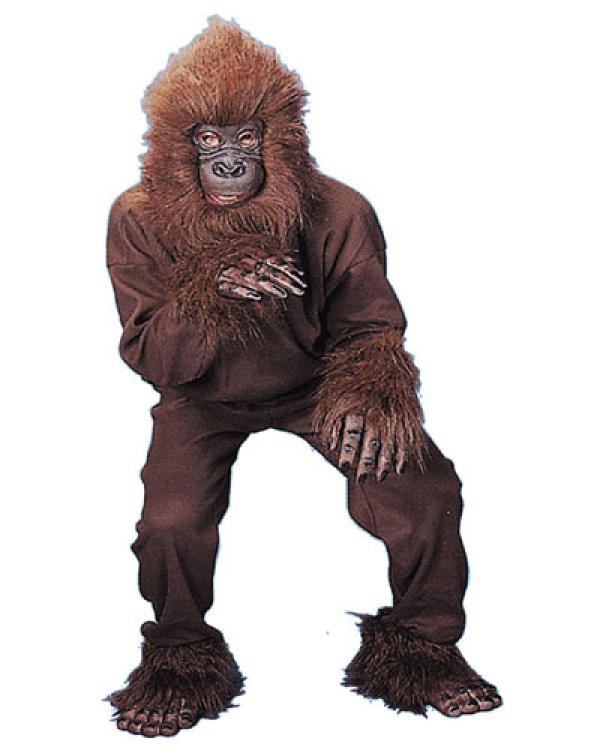 Singe adulte