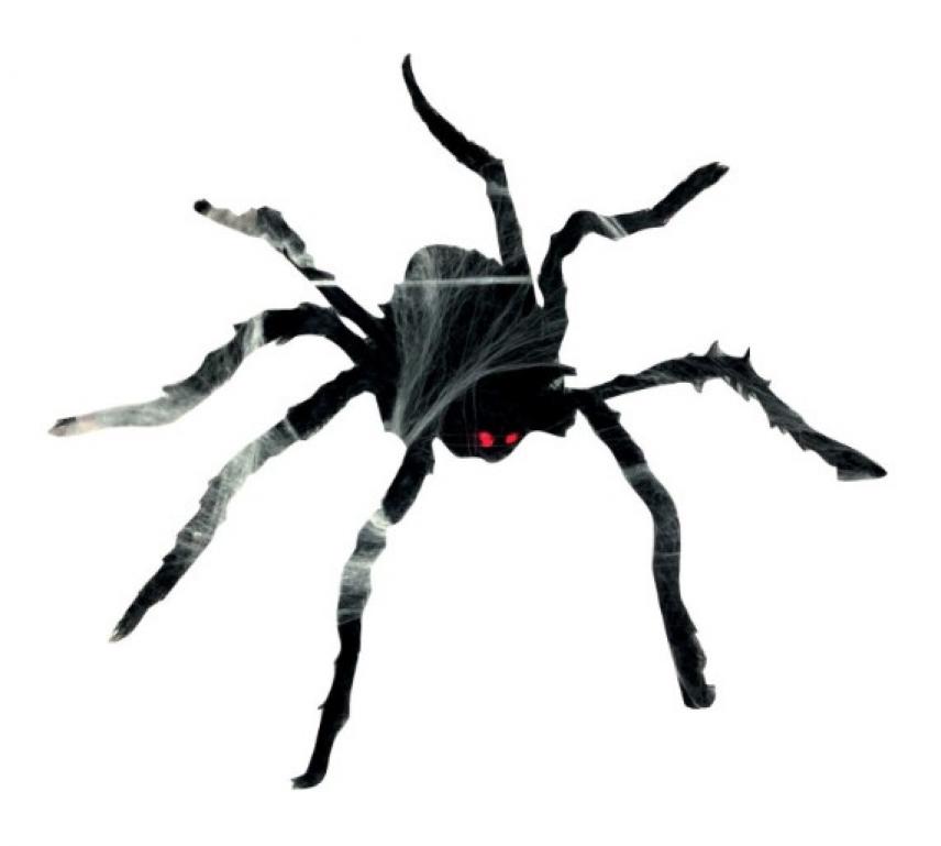 Araignée poilue noire 80cm rampante