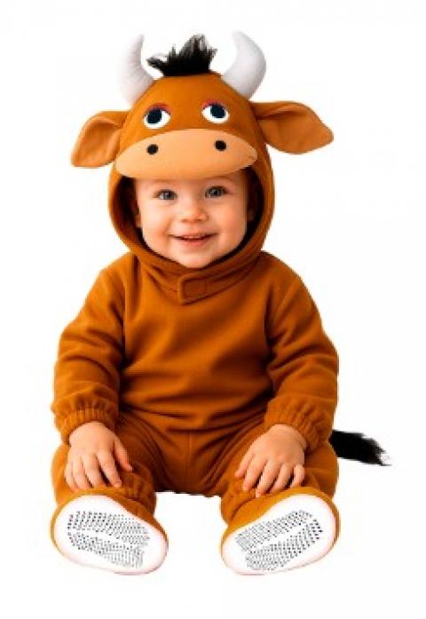 Bébé vache taille 1/2 ans