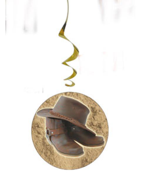 Suspensions western