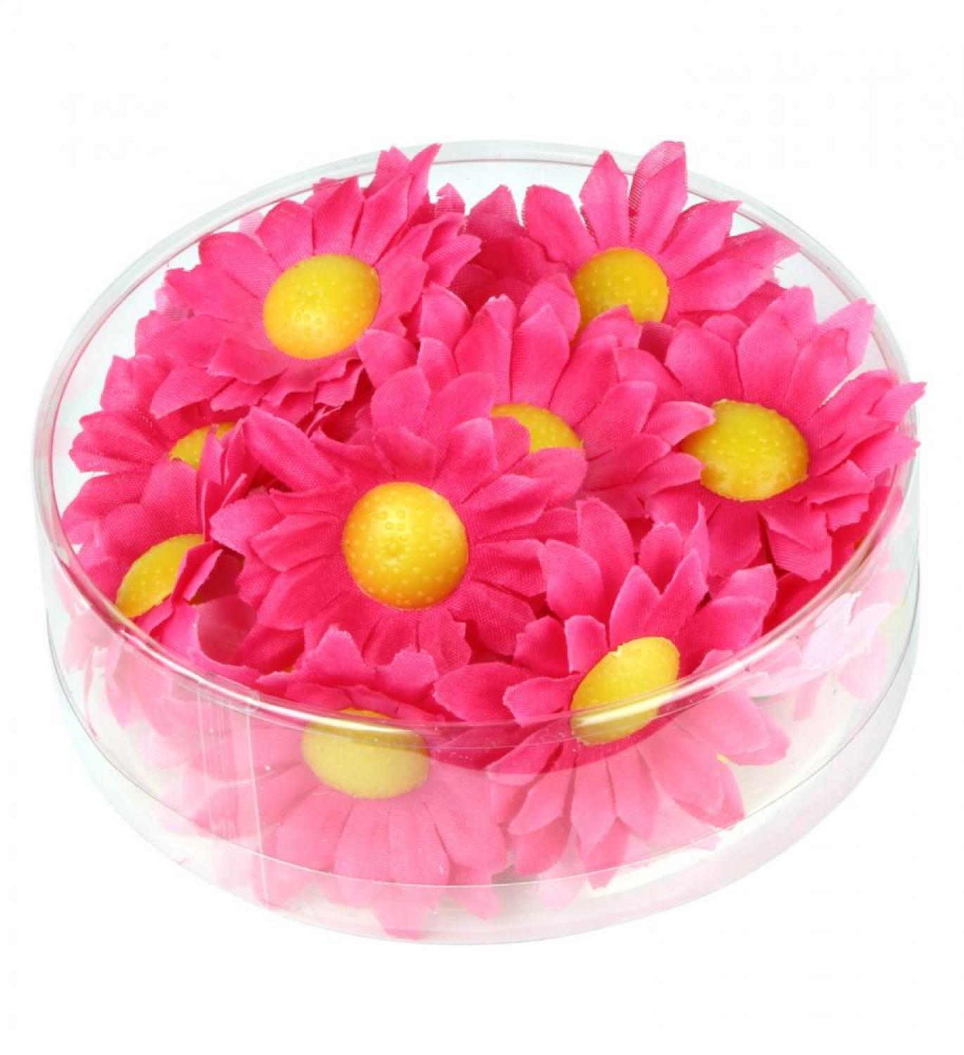 Marguerites de décoration fuchsia