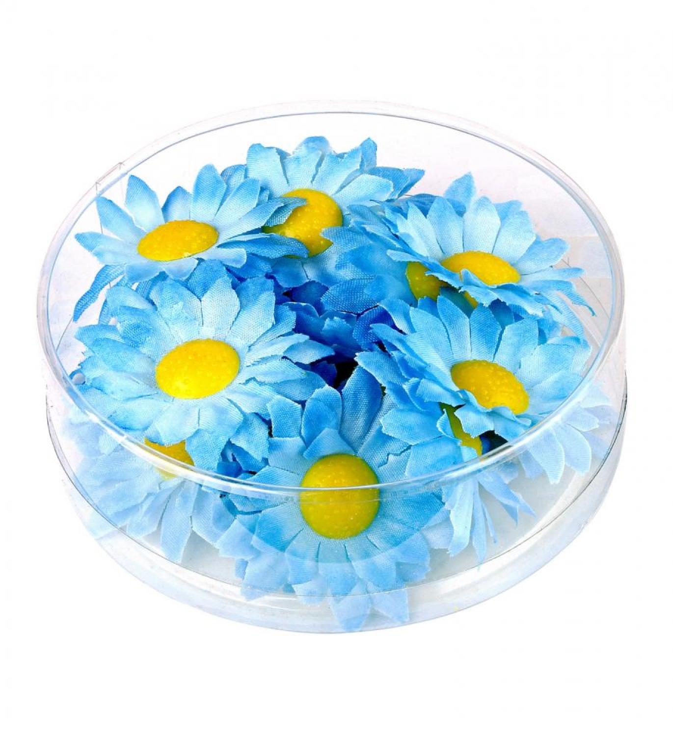 Marguerites de décoration bleu azur