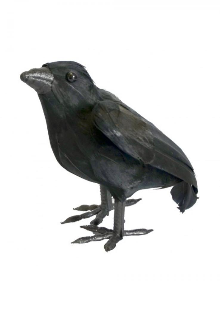 Corbeau plumes décoration 16 cm