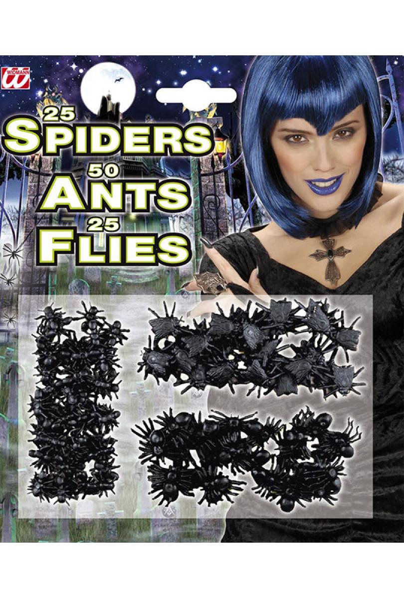 Blister insectes mouches  fourmis