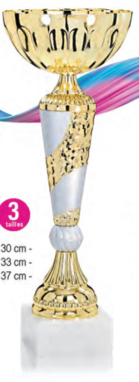 Lot de 30 coupes hauteur moyenne 33,7cm livré