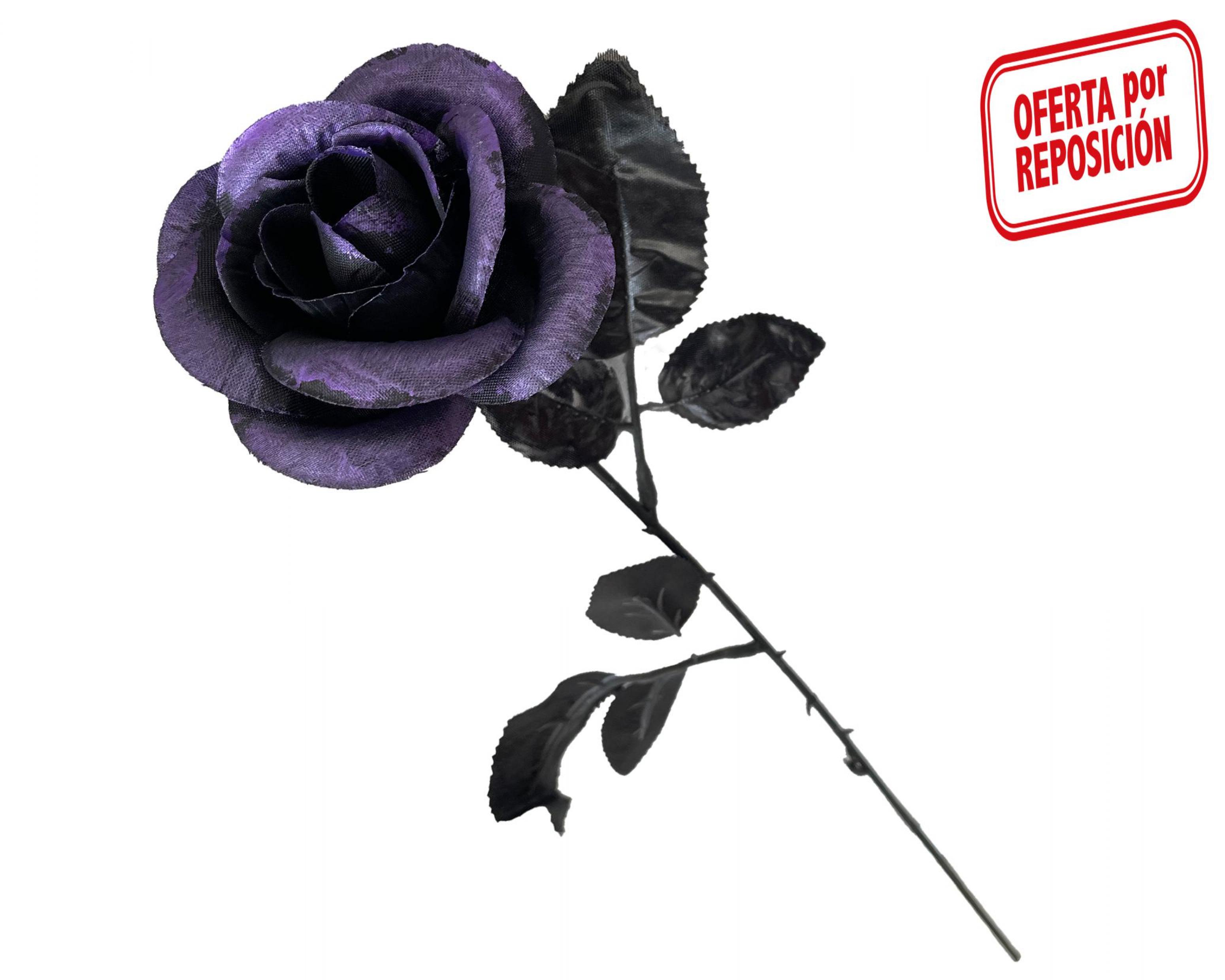 Rose noire pétales colorées 40cm