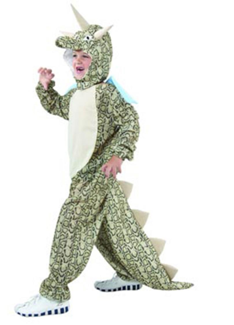 Dinosaure 7/9 ans