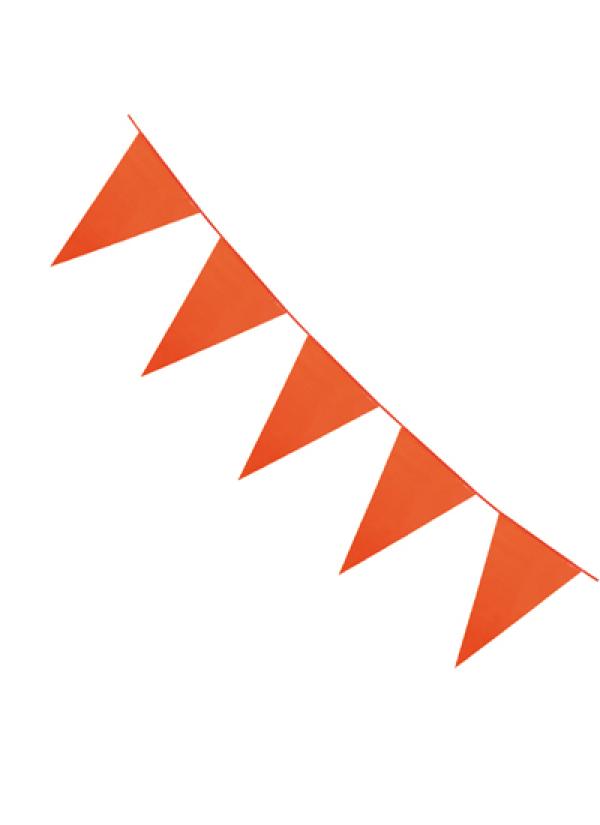 Guirlande fanions 10m orange