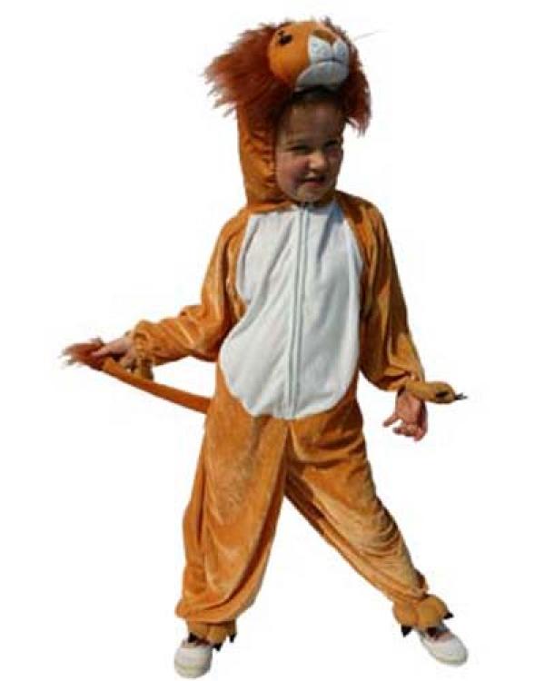 Lion 7/9 ans