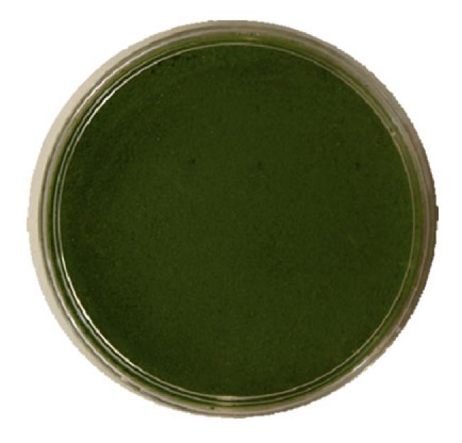 Maquillage kryolan 2 coloris au choix