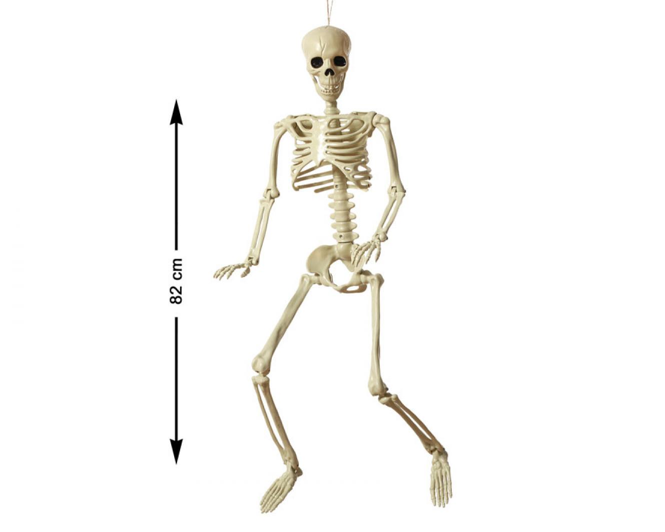 Squelette réaliste articulé plastique 82 cm