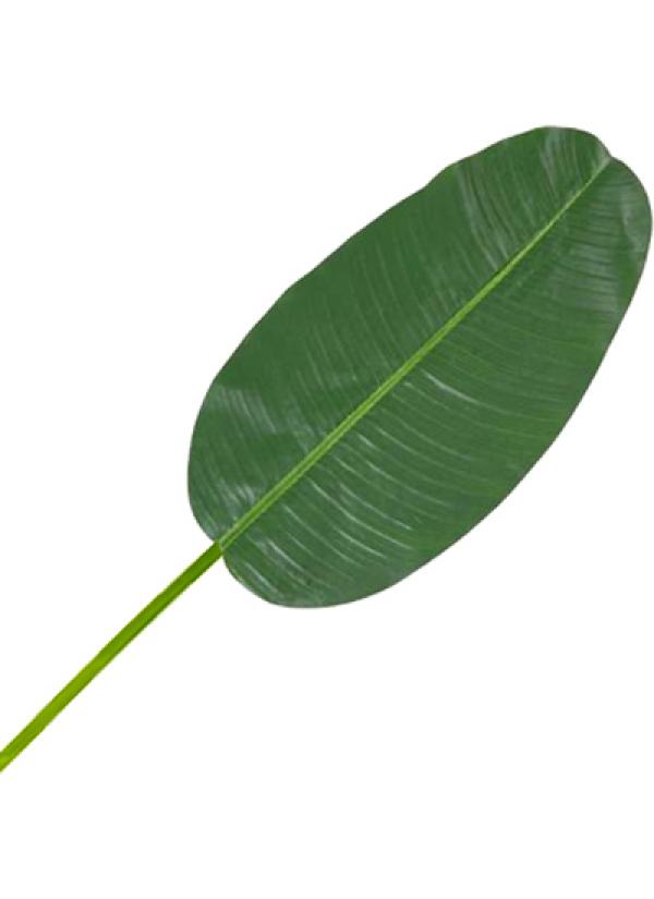 Feuille de bananier