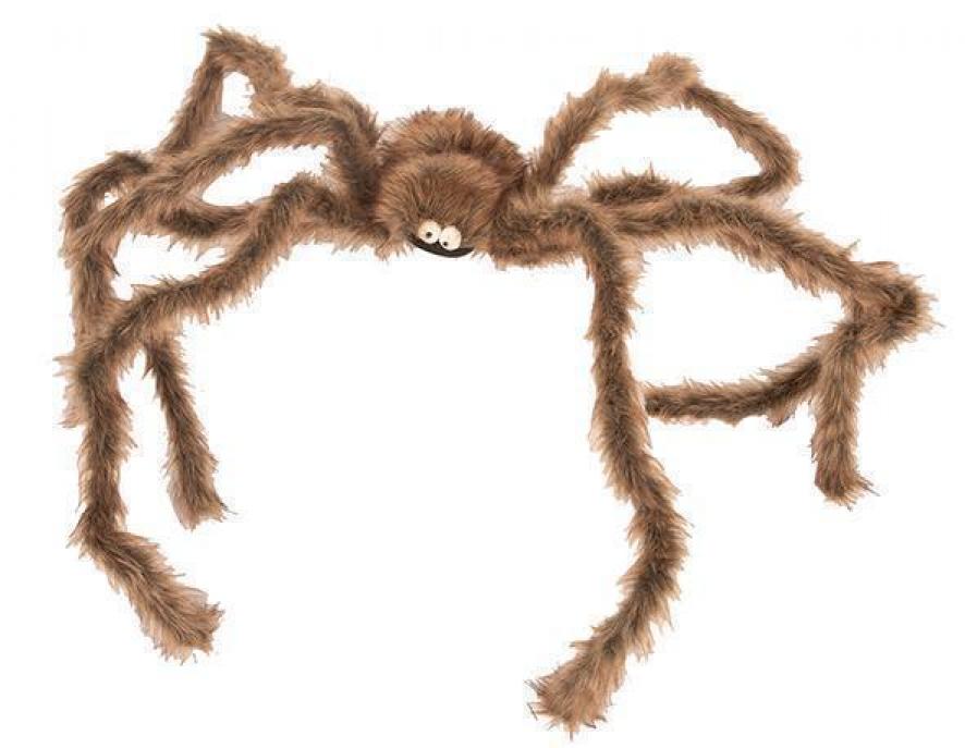 Araignée brune géante 190cm