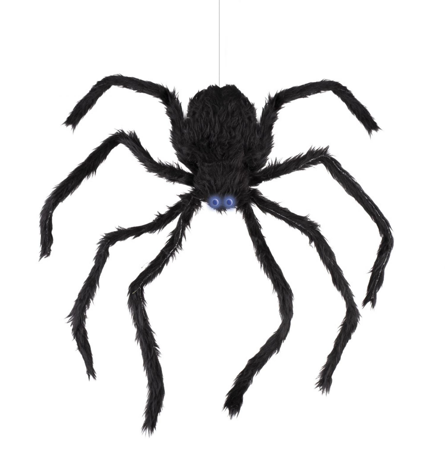 Araignée grimpante 80cm