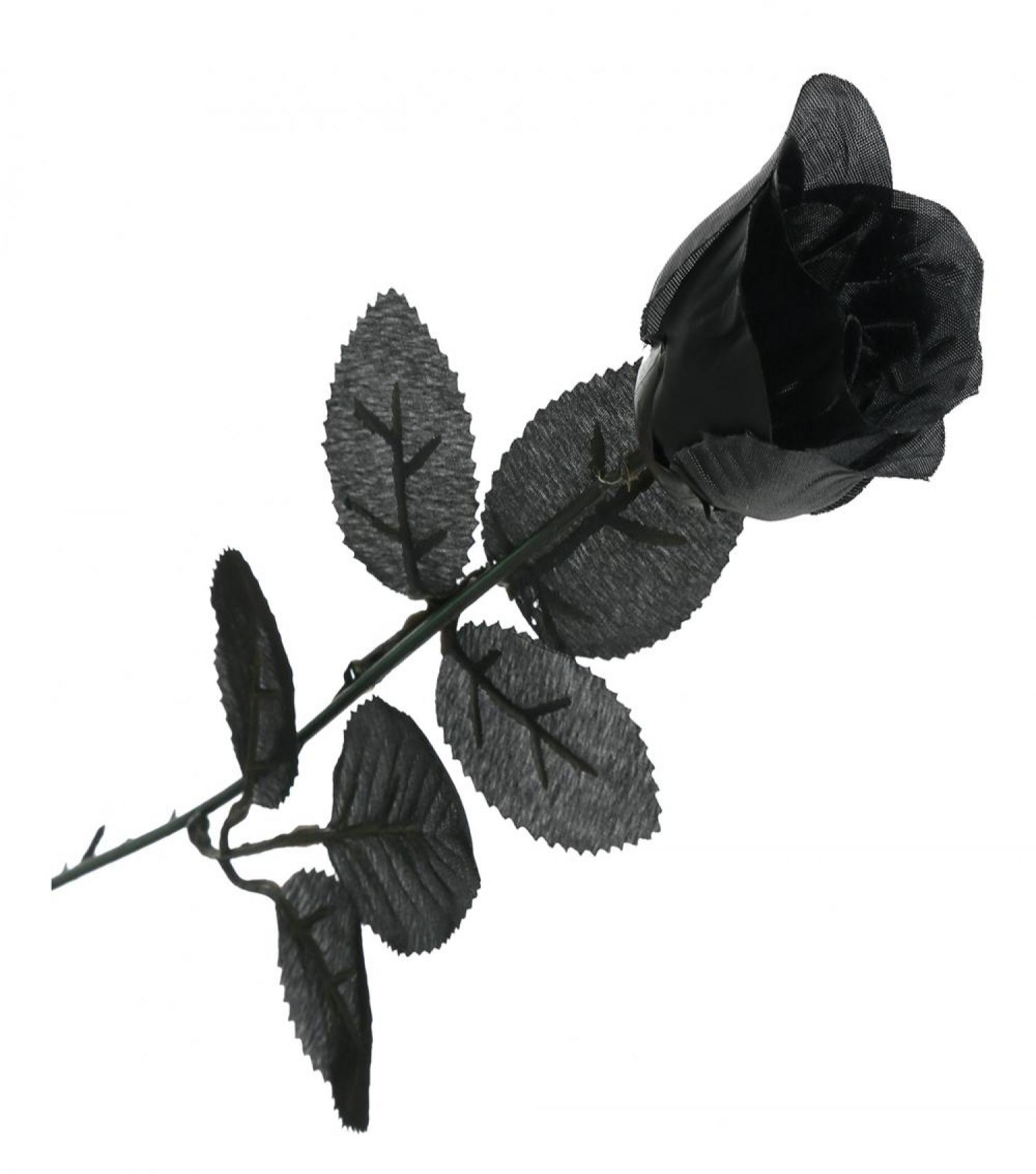 Rose noire pétales colorées 40cm