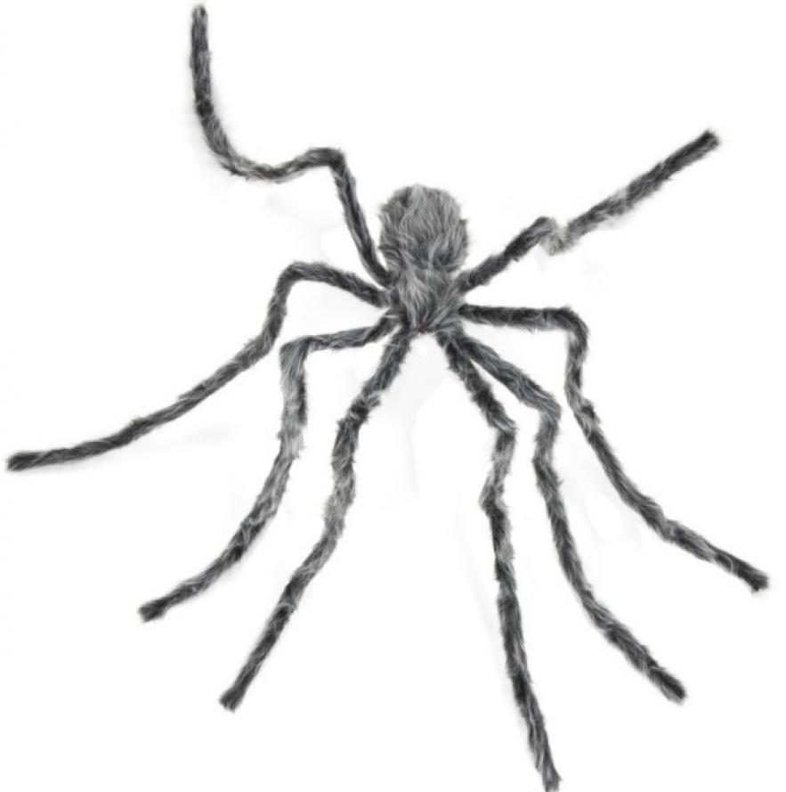 Araignée grise poilue géante 230cm