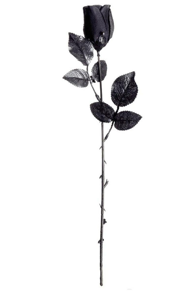 Rose noire