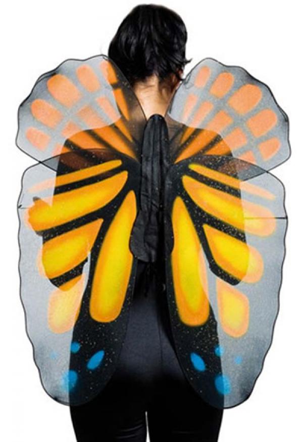 Maxi ailes de papillon