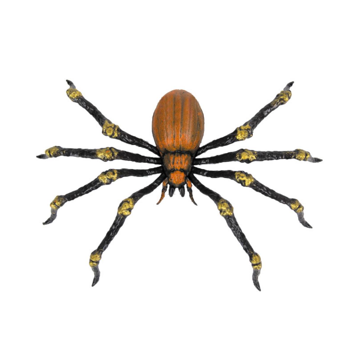 Araignée mortelle 21cm