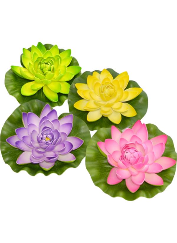 Fleur de lotus flottant