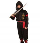 Ninja dragon 11/13 ans