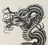 Tatouage temporaire Dragon chinois