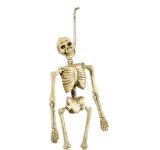Suspension squelette 40 cm