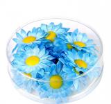 Marguerites de décoration bleu azur