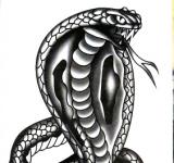 Tatouage temporaire cobra