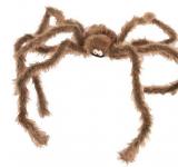 Araignée brune géante 190cm