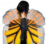 Maxi ailes de papillon