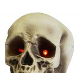 Crâne polystyrène lumineux