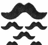 6 Moustaches sur planche