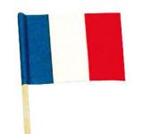 50 Mini drapeaux france