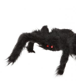 Araignée poilue yeux rouges 21cm